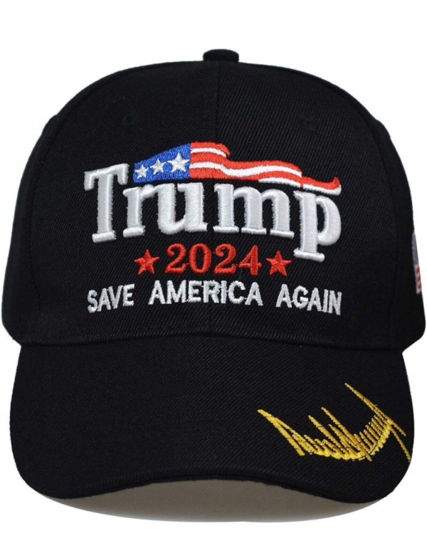 Donald Trump 2024 Hat- Trump Edition- Trump Hat- save America Again - Ball Cap - Image 3